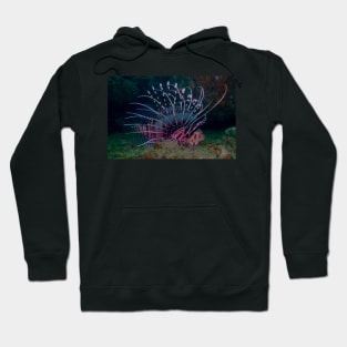 Lionsmane Hoodie